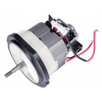 Електродвигун для турботримера Gardena EasyCut 450/25 (09870-00.600.05)