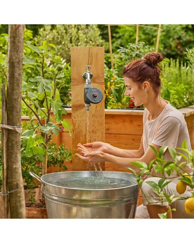 Таймер подачи воды Gardena Easy (01896-20)