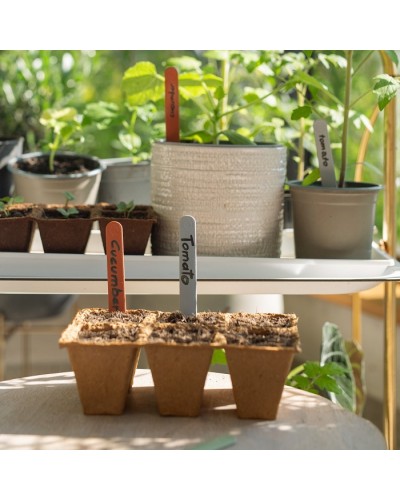Ножницы для трав и цветов Gardena FreshCut Set (12212-36)