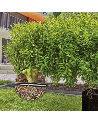 Комплект поливу Gardena Micro-Drip-System для рядного поливу 50 м, 1.6 л/год (13501-20)