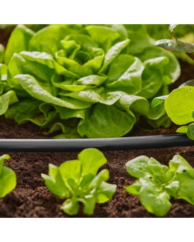 Шланг магистральный Gardena Micro-Drip-System 13 мм, 15 м (01346-20)