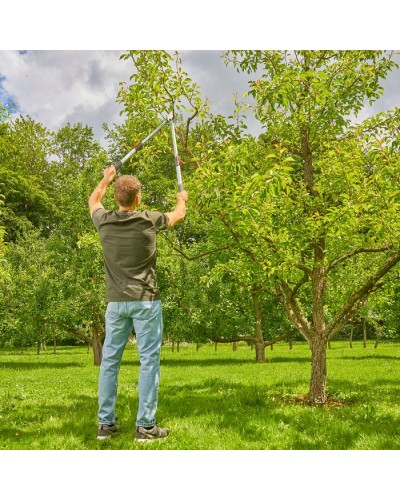 Сучкорез телескопический для зеленых веток до 42 мм Gardena TeleCut Basic 650-900 B + секатор EasyCut до 20 мм (12020-90) НОВИНКА 2025