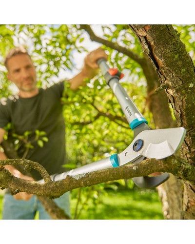 Сучкорез телескопический для зеленых веток до 42 мм Gardena TeleCut Basic 650-900 B + секатор EasyCut до 20 мм (12020-90) НОВИНКА 2025
