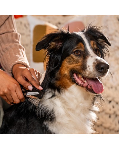 Филировочные ножницы для груминга Fiskars Blending Scissors 17 см (2009128) Филировочные ножницы для груминга Fiskars Blending Scissors 17 см (2009128)