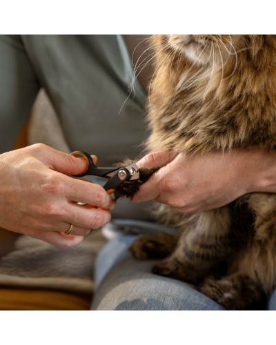 Когтерез мини для животных Fiskars Small Nail Clippers, для собак и кошек, 10 см (2009130) Когтерез мини для животных Fiskars Small Nail Clippers, для собак и кошек, 10 см (2009130)