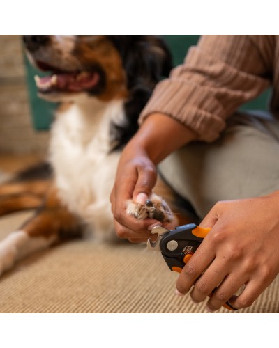 Когтерез для животных Fiskars Nail Clippers, для собак и кошек, 15 см (2009132) Когтерез для животных Fiskars Nail Clippers, для собак и кошек, 15 см (2009132)