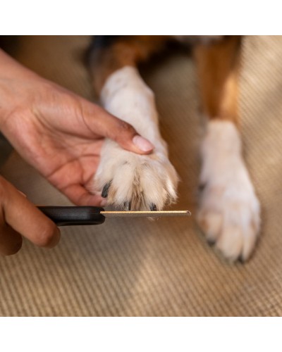 Пилка для когтей для животных Fiskars Nail File, 18 см (2009142) Пилка для когтей для животных Fiskars Nail File, 18 см (2009142)