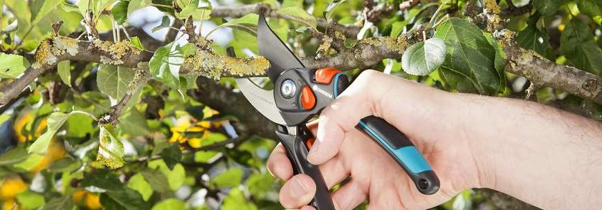 Секатори та сучкорізи